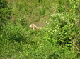 Enlarge photo 156