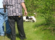 Enlarge photo 157