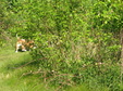 Enlarge photo 159