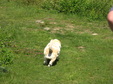 Enlarge photo 161