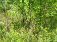 Enlarge photo 162