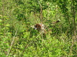 Enlarge photo 163