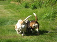 Enlarge photo 165