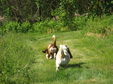 Enlarge photo 166