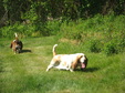 Enlarge photo 167