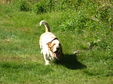 Enlarge photo 168