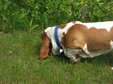 Enlarge photo 169
