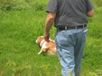 Enlarge photo 172