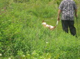 Enlarge photo 173