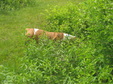 Enlarge photo 177