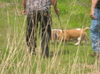 Enlarge photo 179