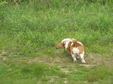 Enlarge photo 180