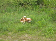 Enlarge photo 182
