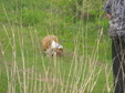 Enlarge photo 181