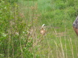 Enlarge photo 183