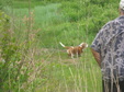 Enlarge photo 184