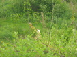 Enlarge photo 185