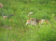 Enlarge photo 187