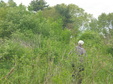 Enlarge photo 188