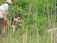 Enlarge photo 189