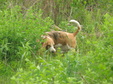 Enlarge photo 192