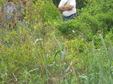 Enlarge photo 194