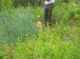 Enlarge photo 195