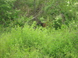 Enlarge photo 197
