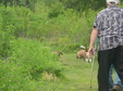 Enlarge photo 196