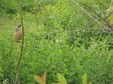 Enlarge photo 198