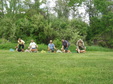 Enlarge photo 201
