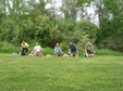 Enlarge photo 203