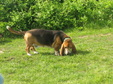 Enlarge photo 202