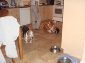 Enlarge photo 148