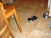 Enlarge photo 152