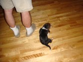 Enlarge photo 154