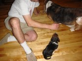 Enlarge photo 155