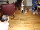 Enlarge photo 158
