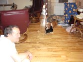Enlarge photo 159