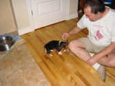 Enlarge photo 162