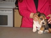 Enlarge photo 124
