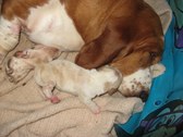 Enlarge photo 12