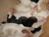 Enlarge photo 9
