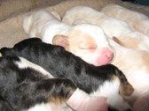 Enlarge photo 16