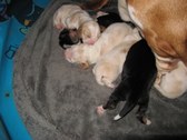 Enlarge photo 23