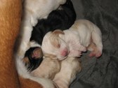 Enlarge photo 25