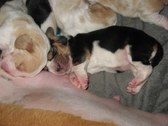 Enlarge photo 28