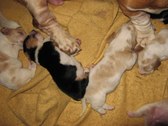 Enlarge photo 32