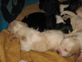Enlarge photo 37