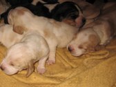 Enlarge photo 34